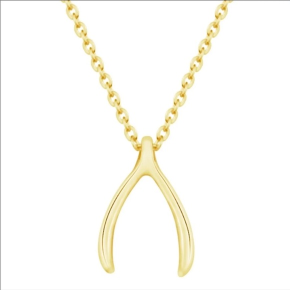 Golden Threads Jewelry - NWT Wishbone Dainty Pendant Necklace Gold